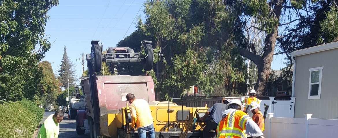 Paseo De Palomas MHP